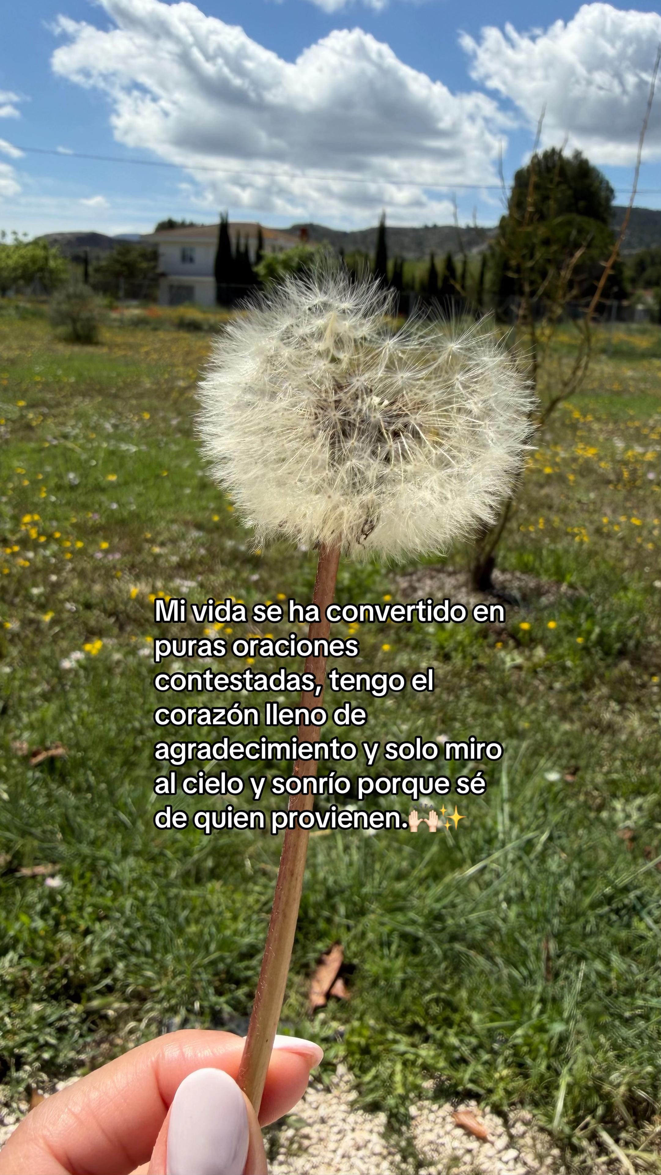 @Marian Sumoza