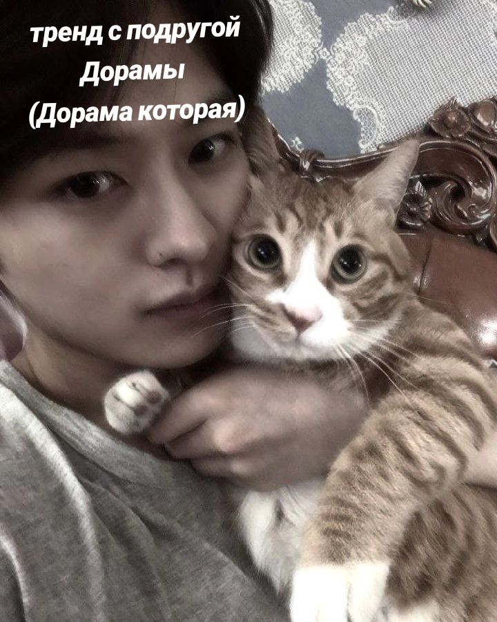@стрэй)