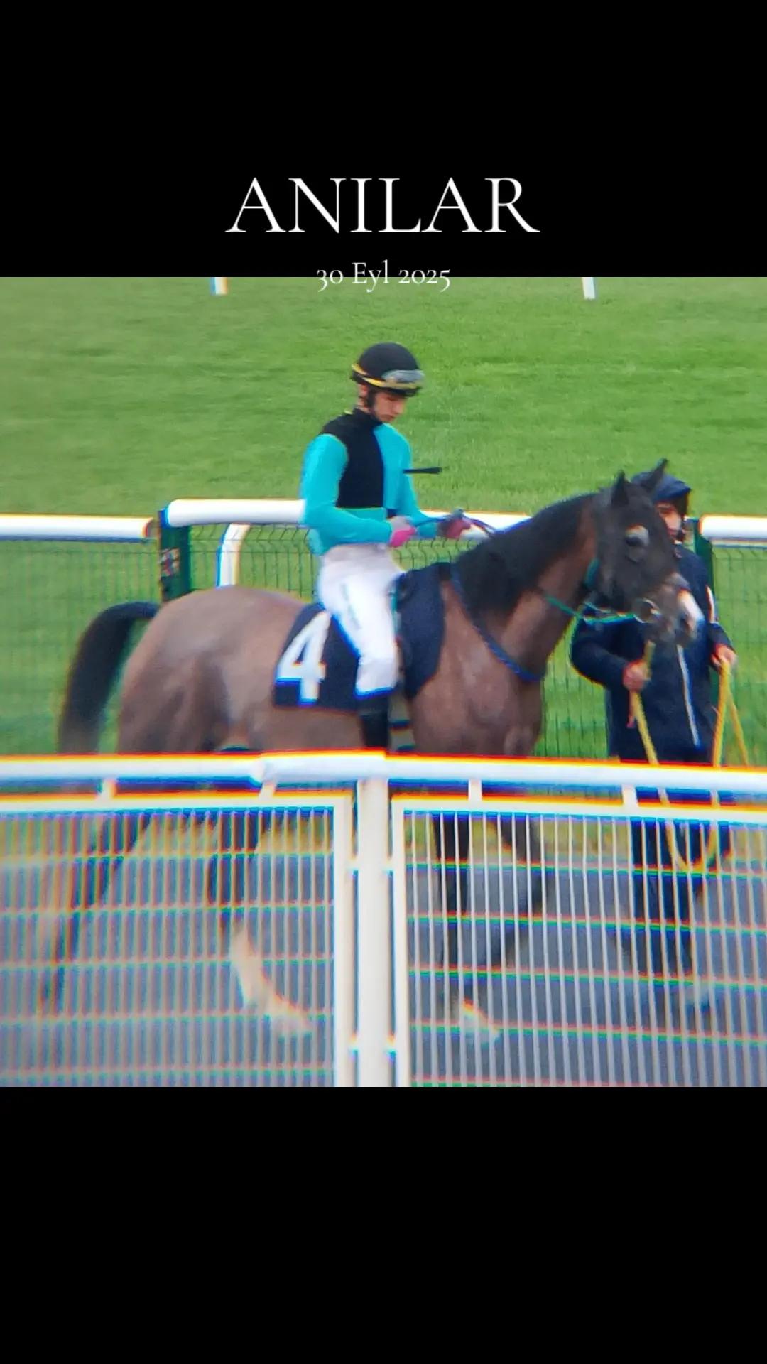 @brs horse racing