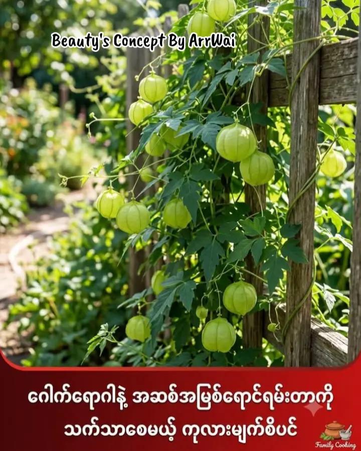 @đđŤđŤ_đđđ˘ đđ¨đŽđŤđ§đđ˛