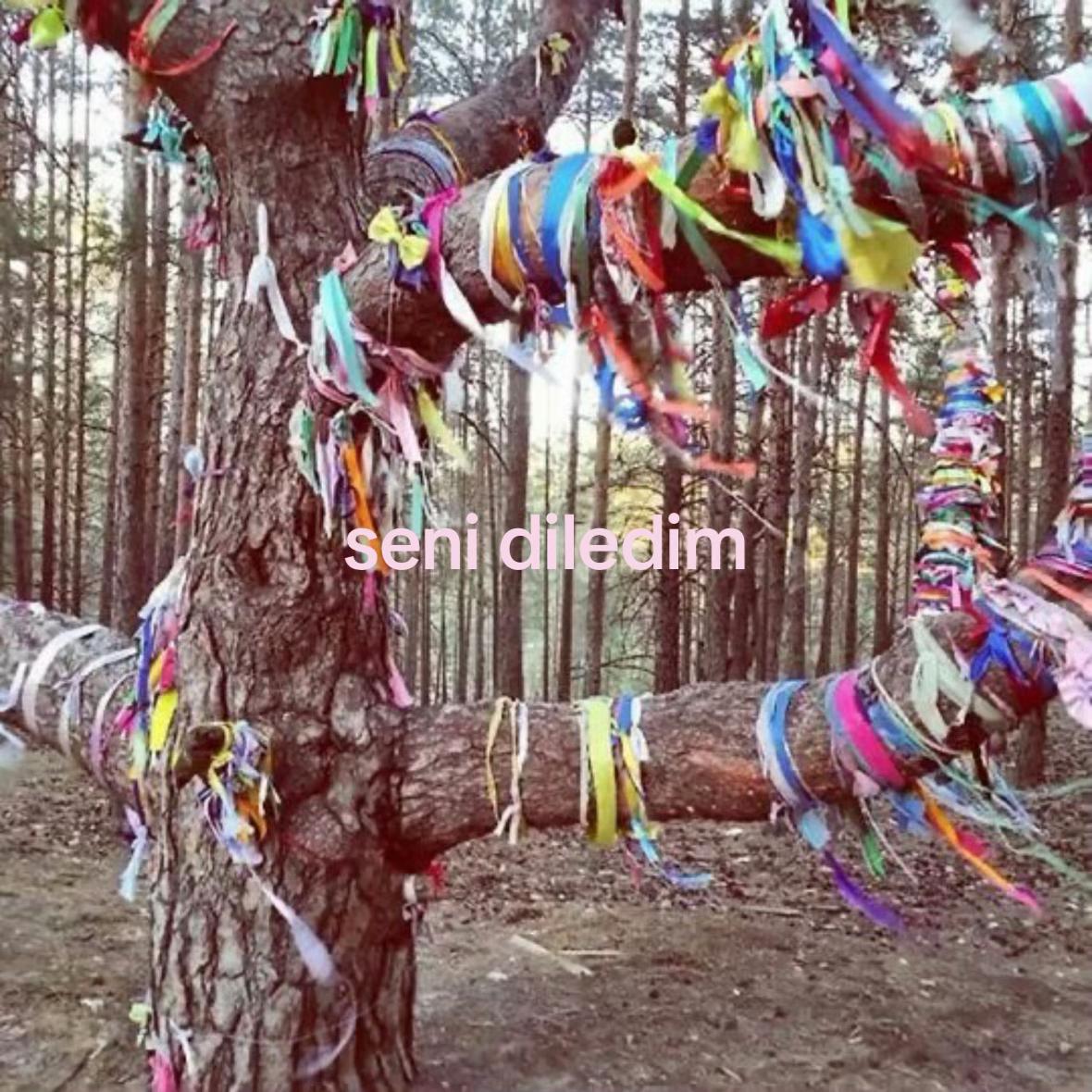 @ceroiiy