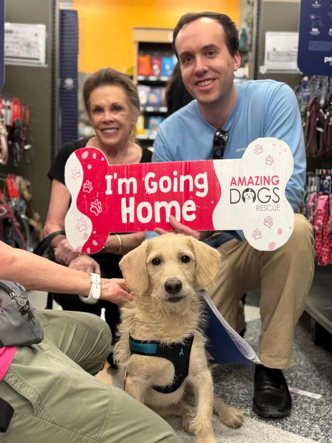 @Amazing Dogs Rescue