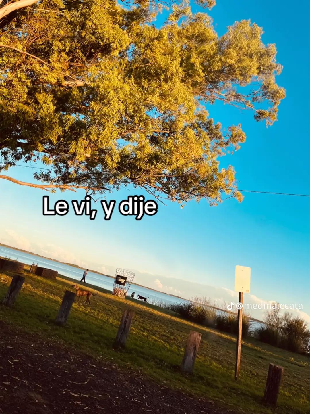 @A'le F'&oslash;xx 🤖
