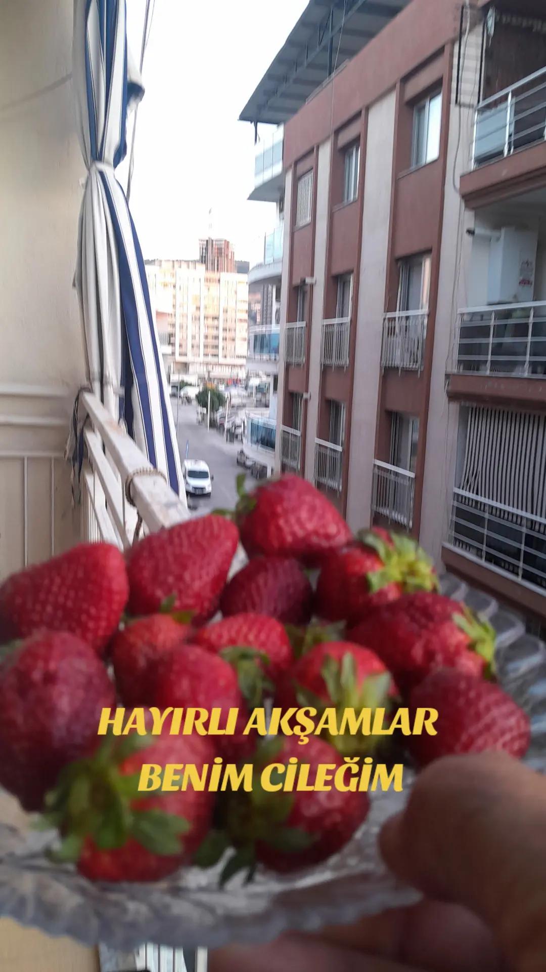 @Hasan Yılmaz