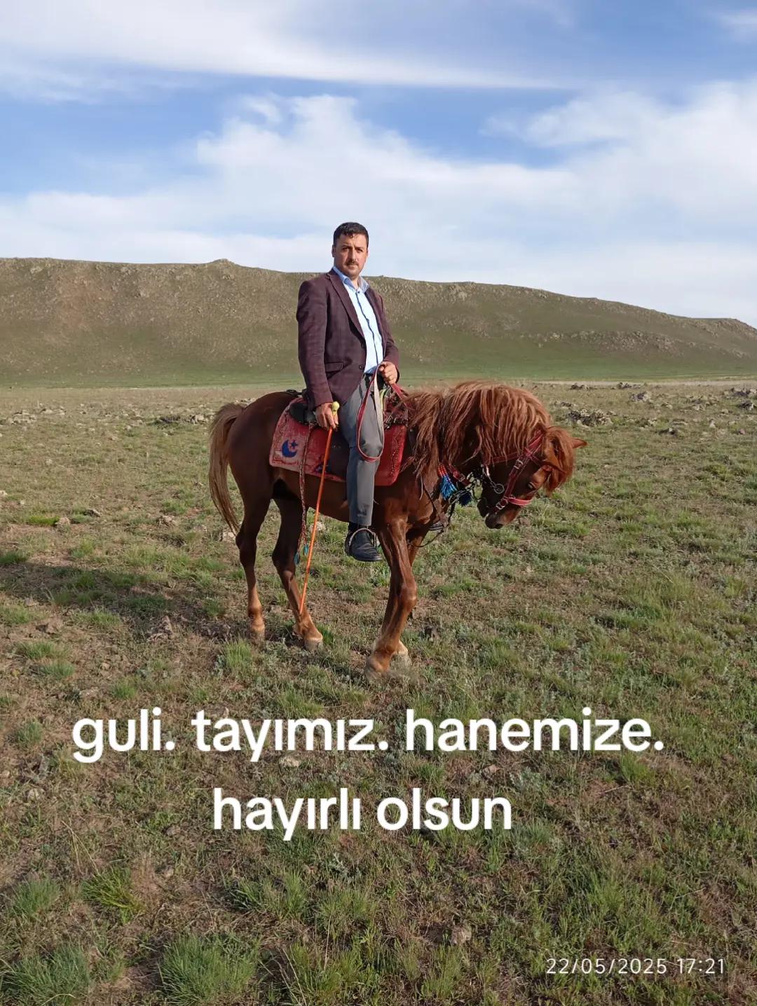 @Murat demir