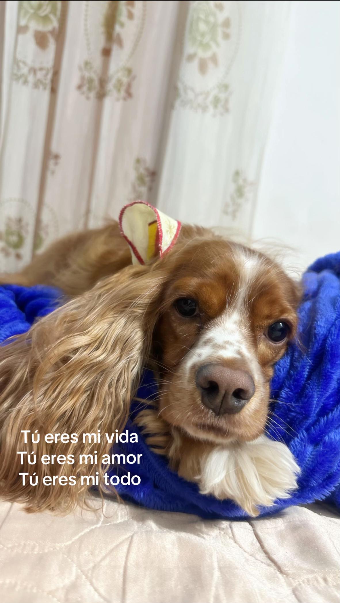 @Manuela Gómez