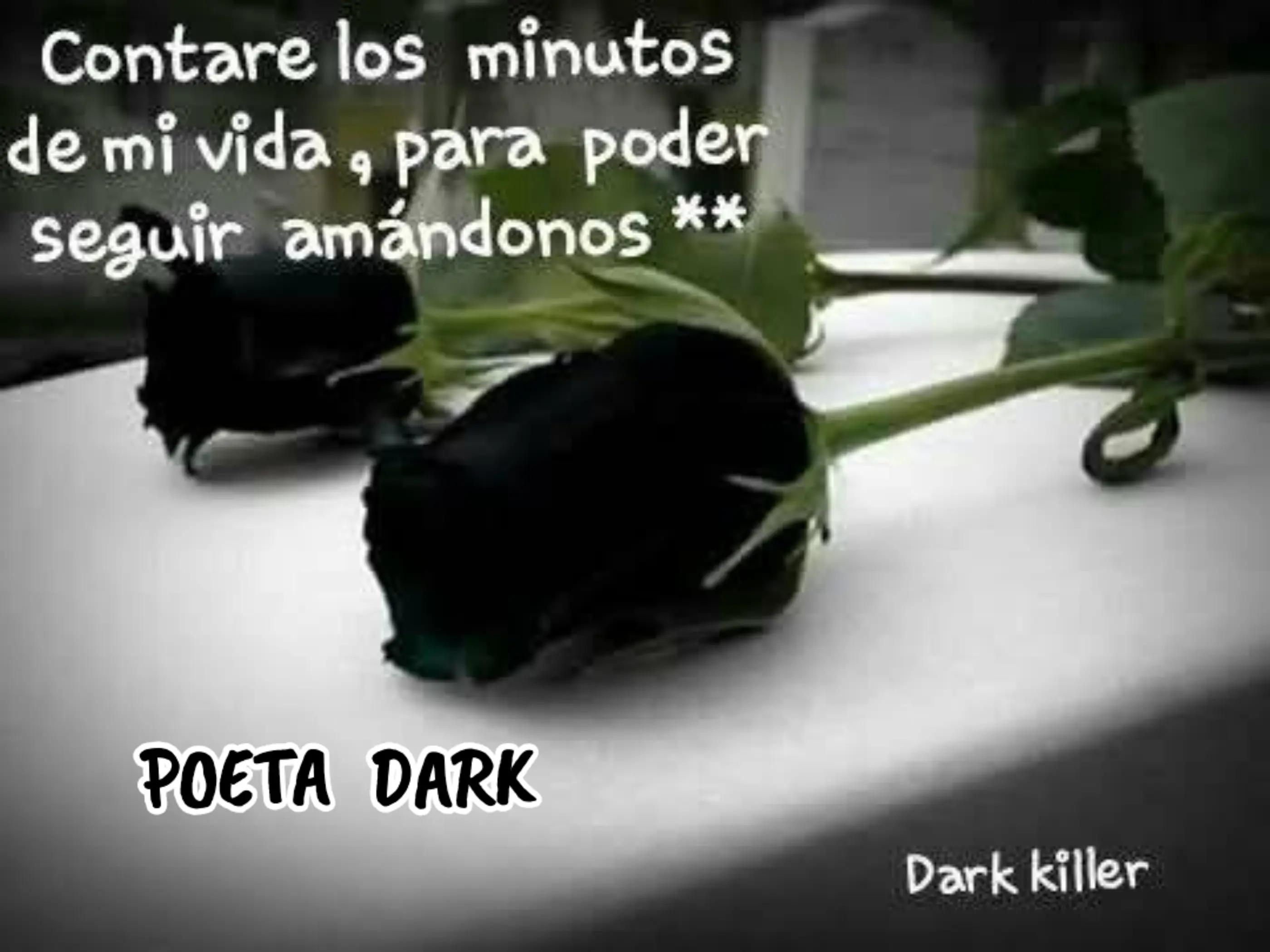 @POETA DARK