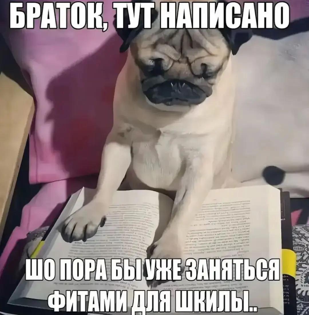@gardd