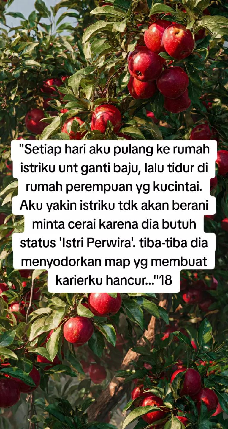 @Promosi Novel Online