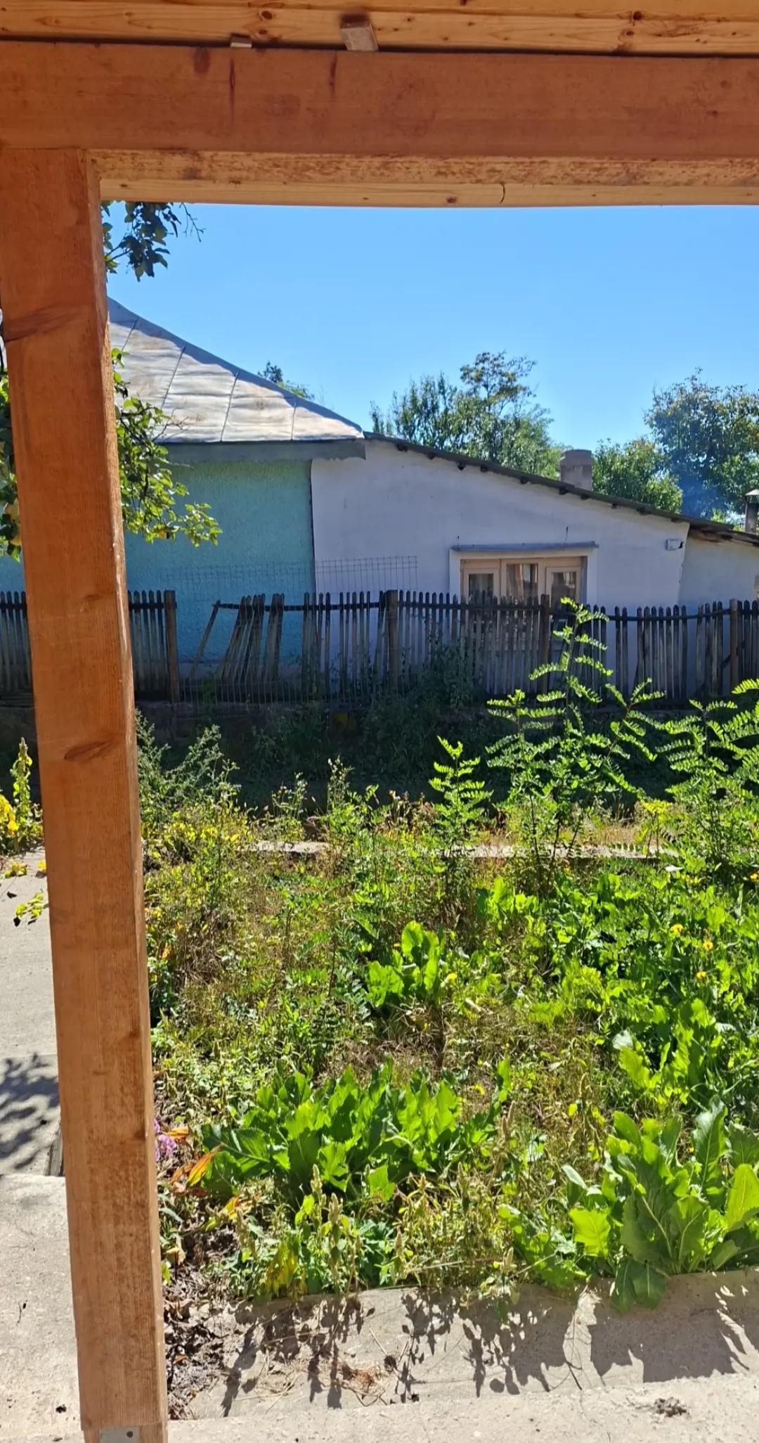 @Nevasta lui Botea Laurențiu