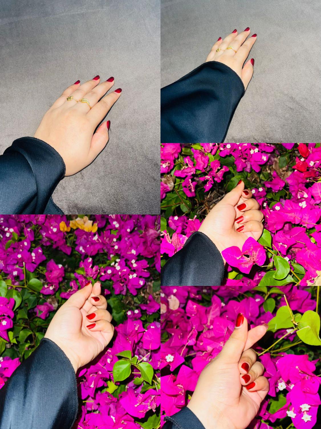 @🇴🇲💫🌺عيشانور🌺💫🇴🇲