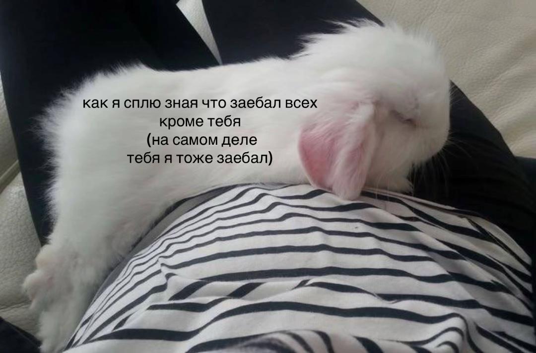 @тг: грустнобезтебя 🪶