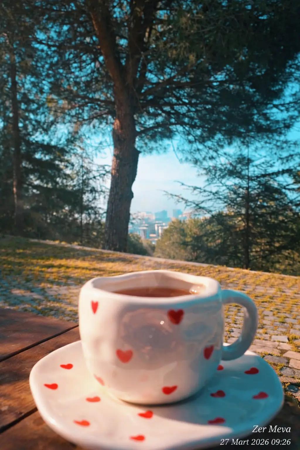 @Polyanna