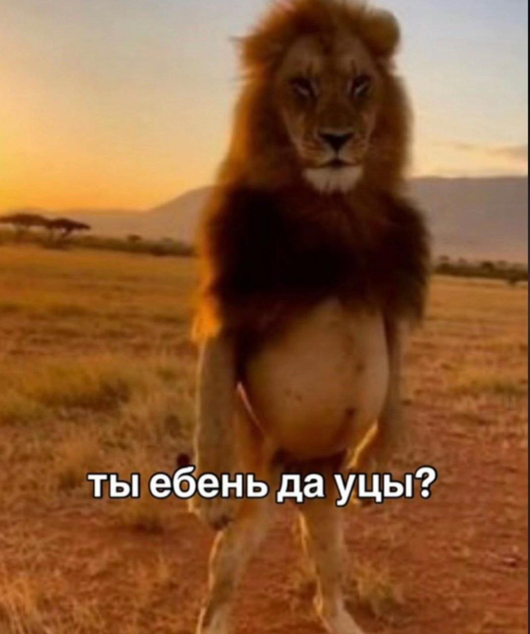 @Ppatr1ott мемчик