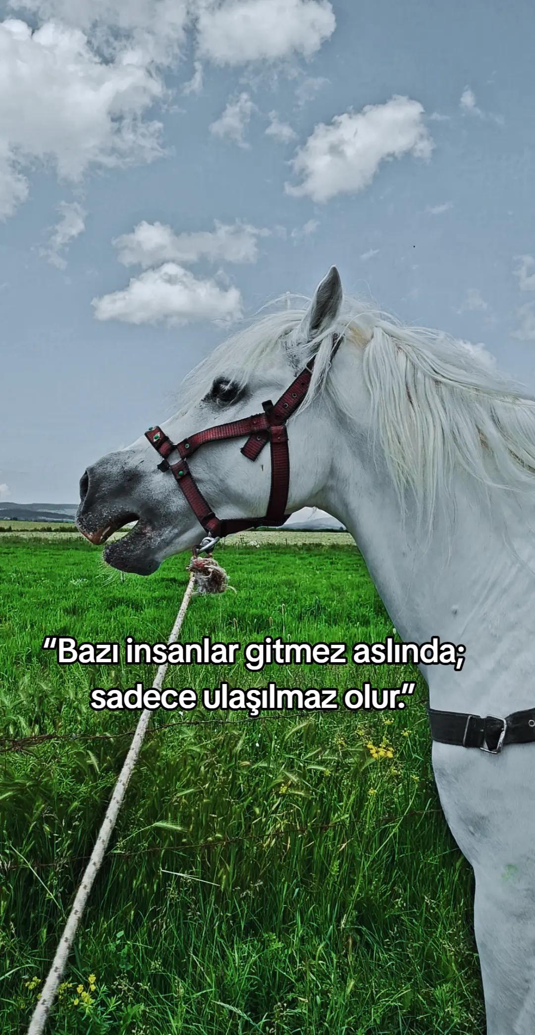 @Yusuf Ünal