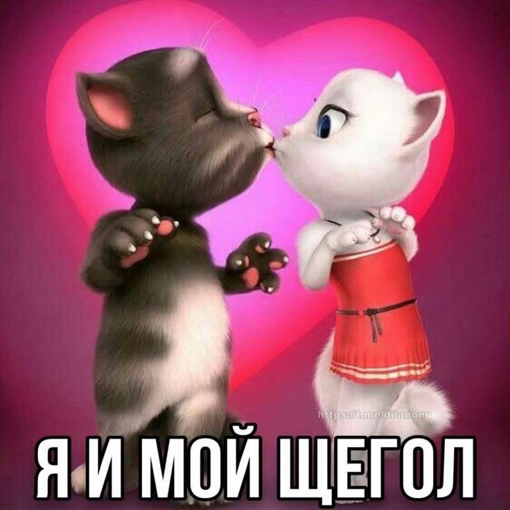 @ТГК:Amorf1n+