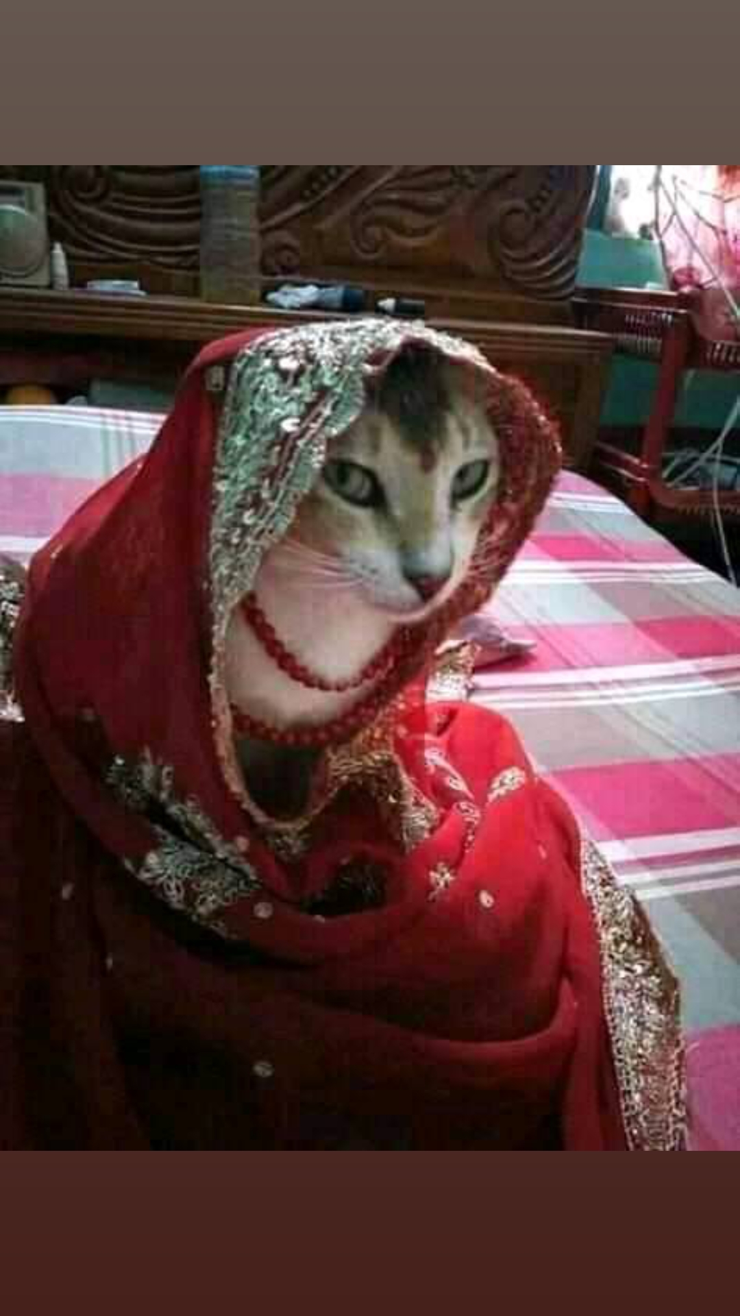 @mis Ritu khan