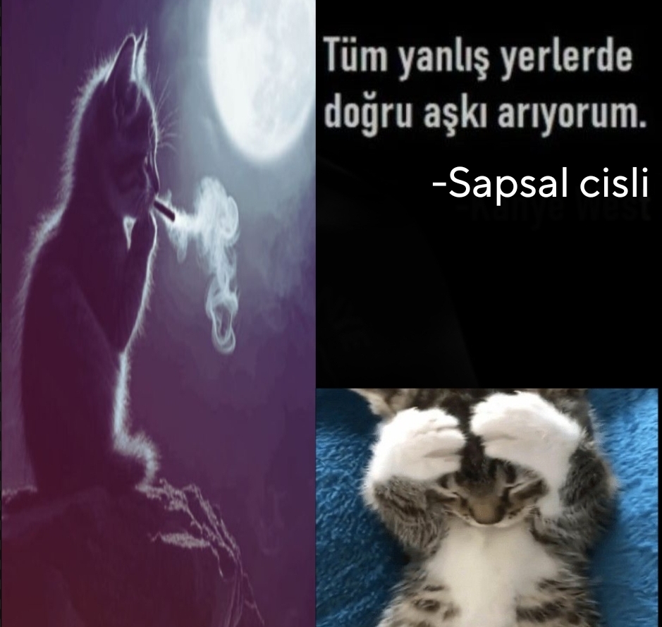 @poser_baskani4