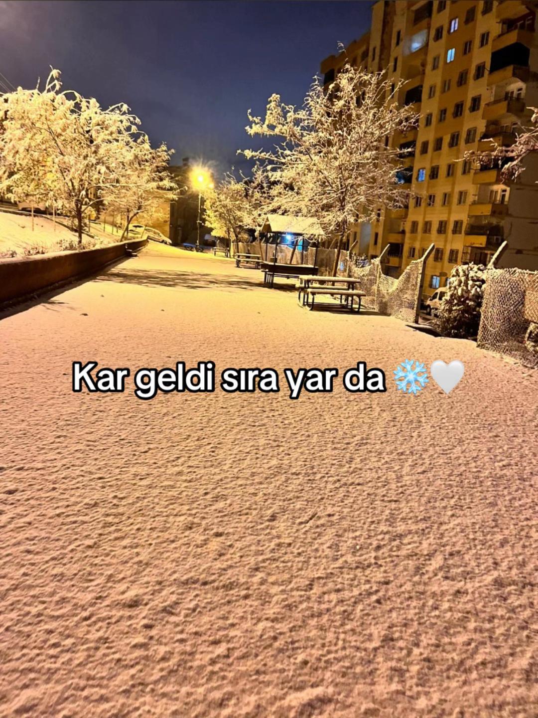 @Muhammed🦅