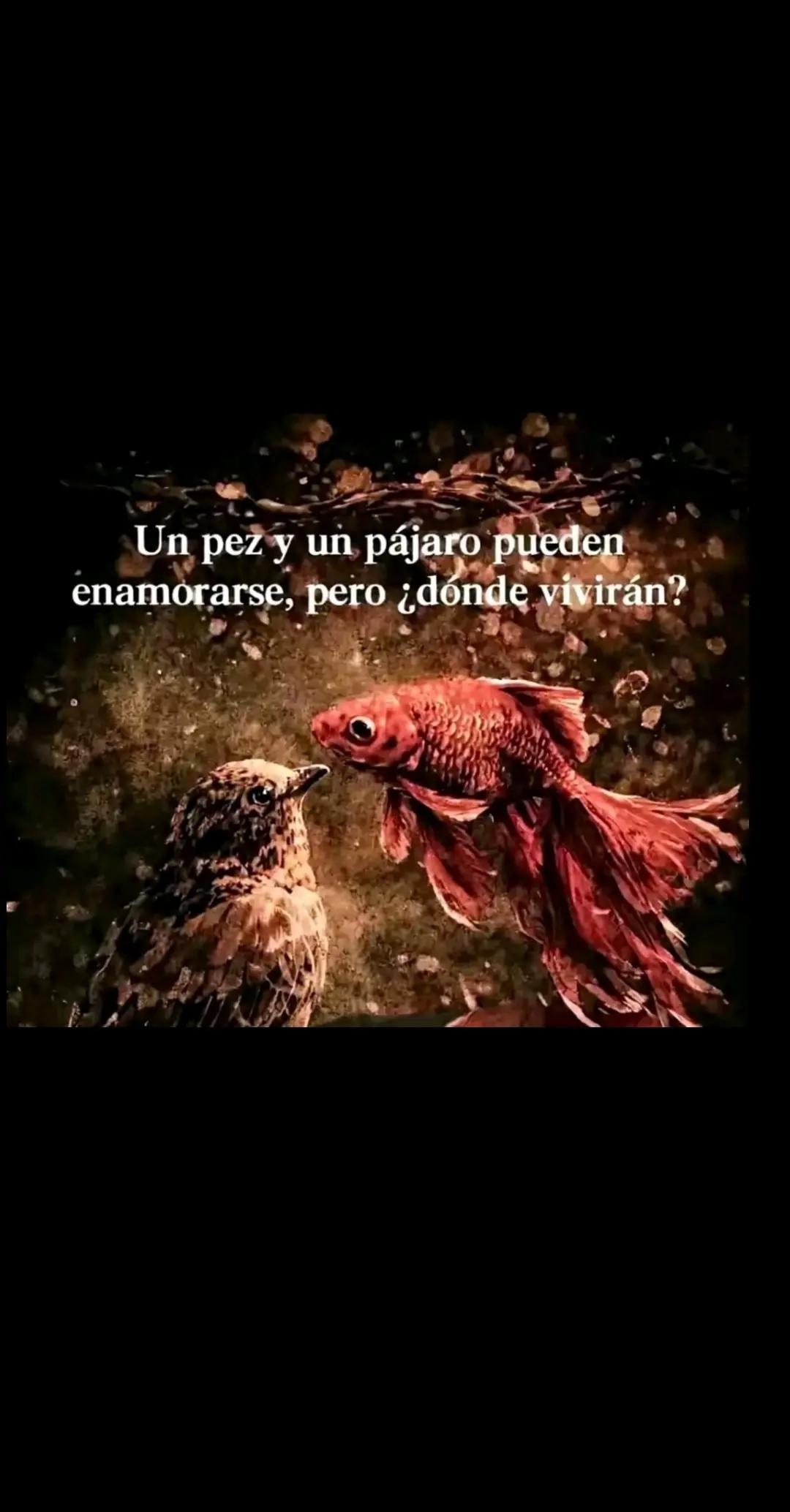 @Nazaret Bustamante