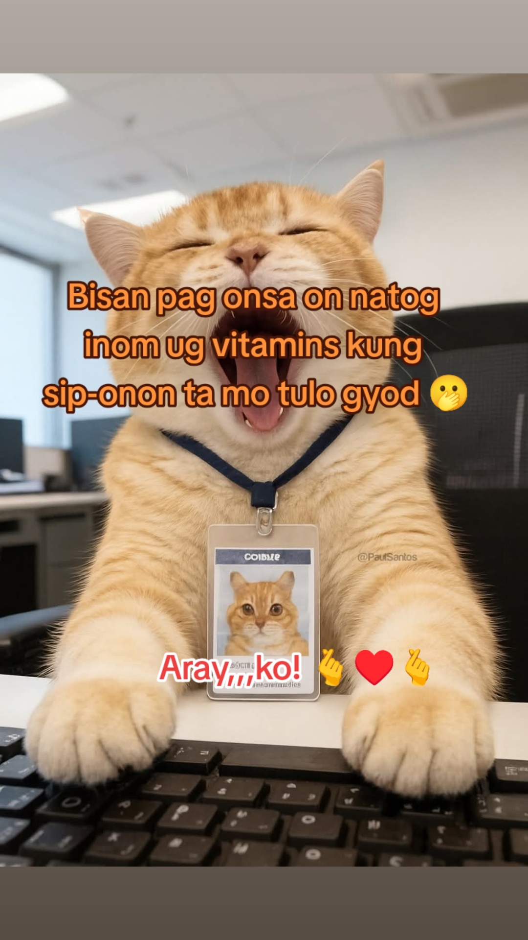 @Aray ko!