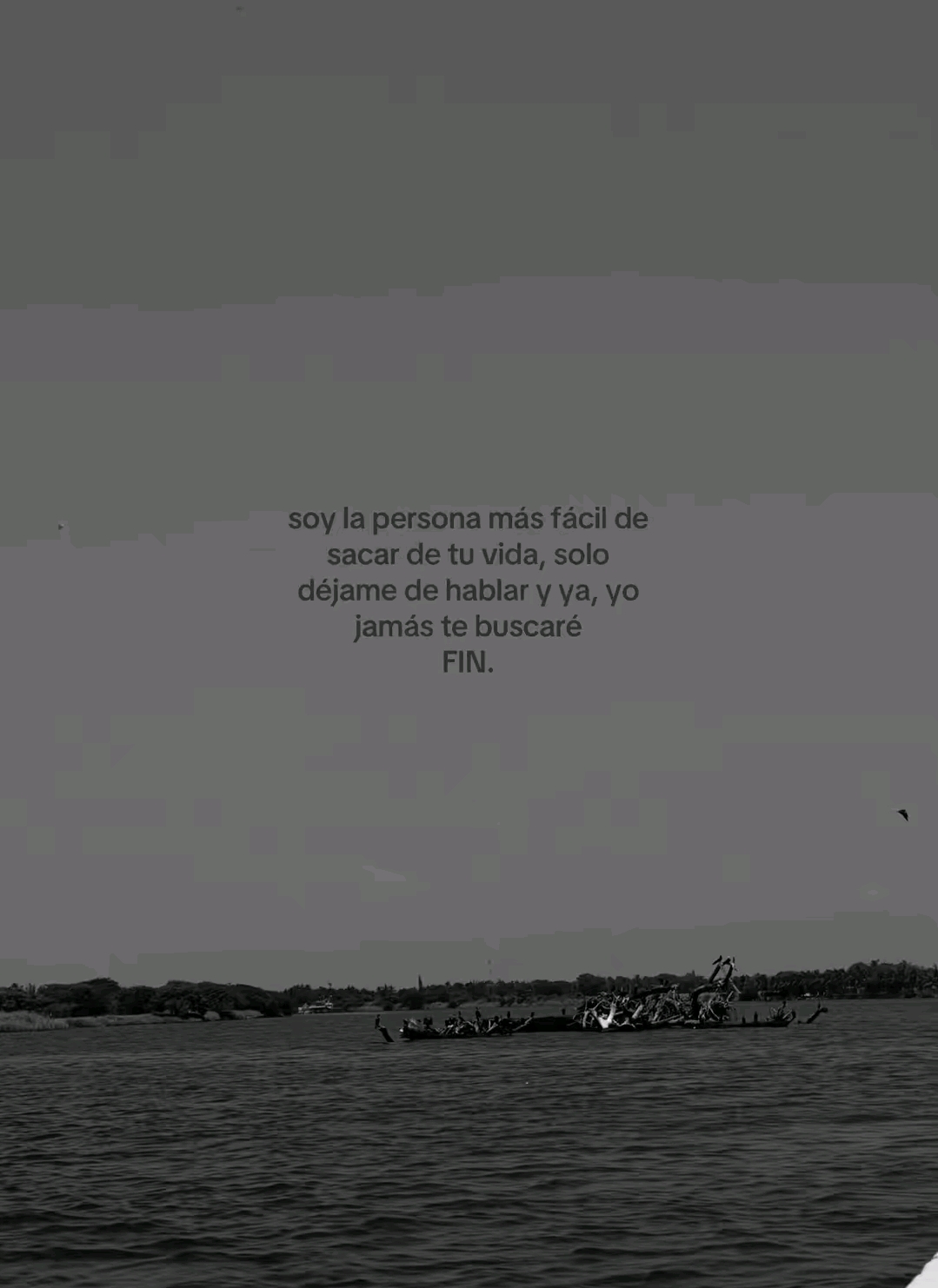 @𝐅 𝐚 𝐧 𝐧 𝐲 𐚁