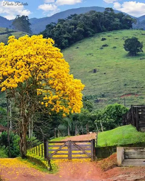 @Cheguei na Roça