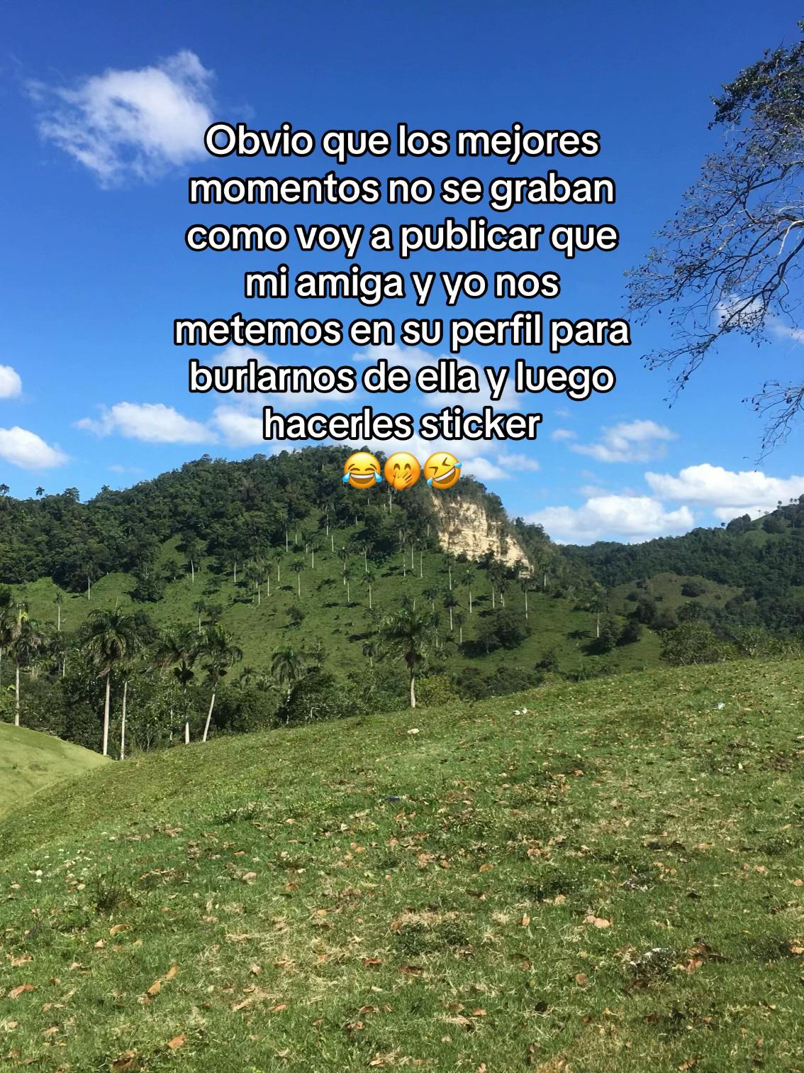 @Elizabeth Feliz