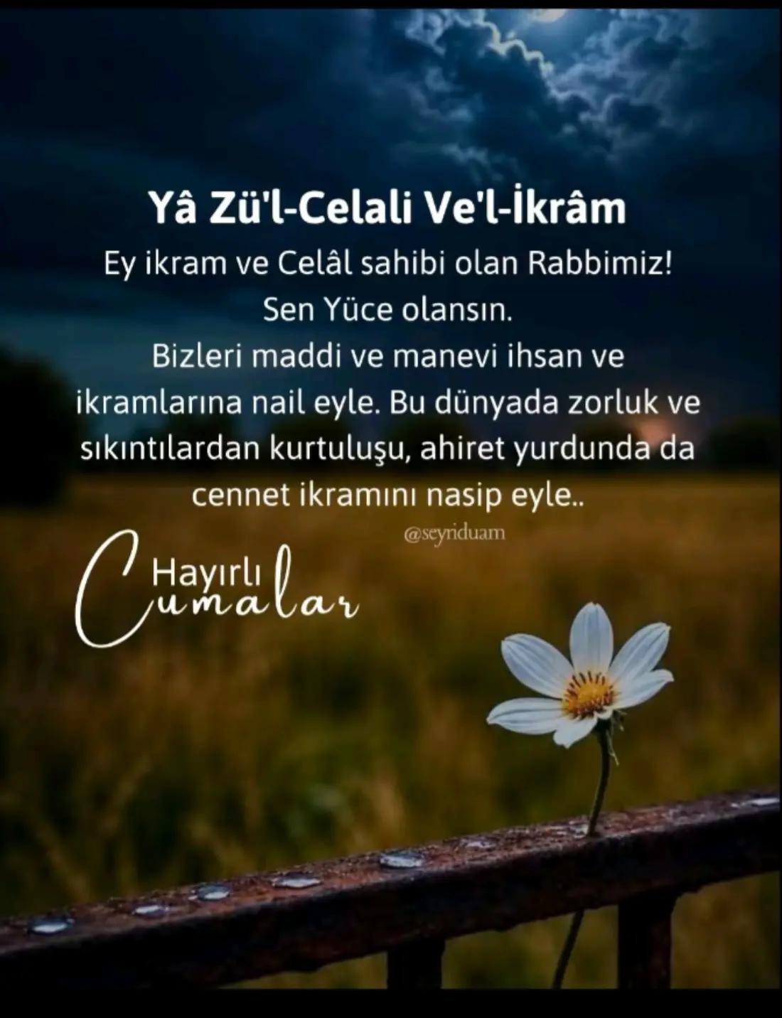 @Fatma Güzelaydın