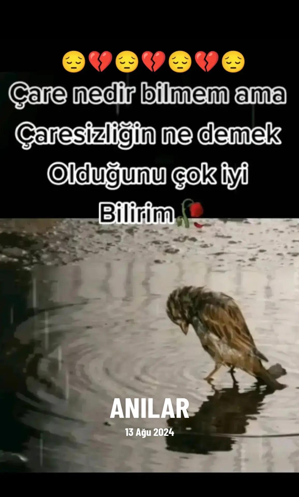 @๐นGAZEL๐น