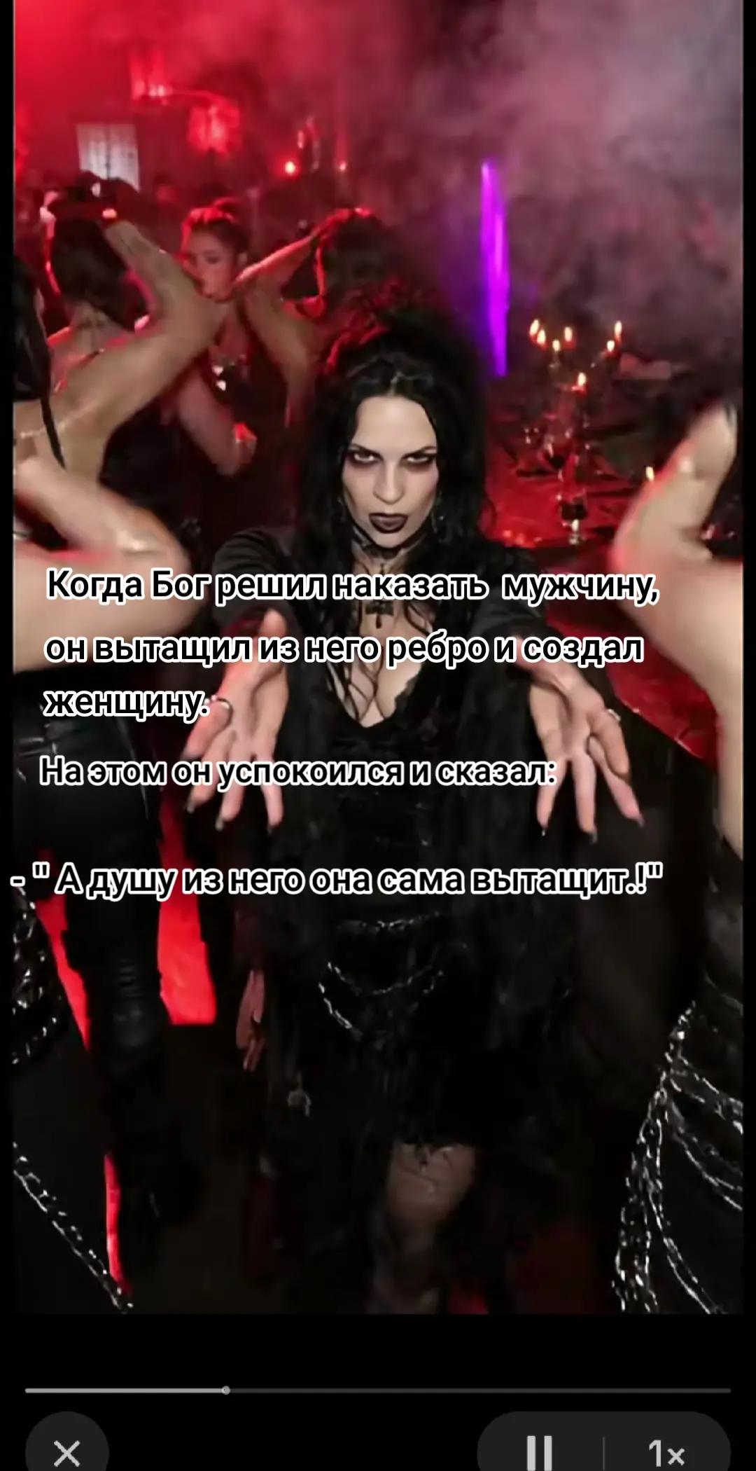 @kitnes