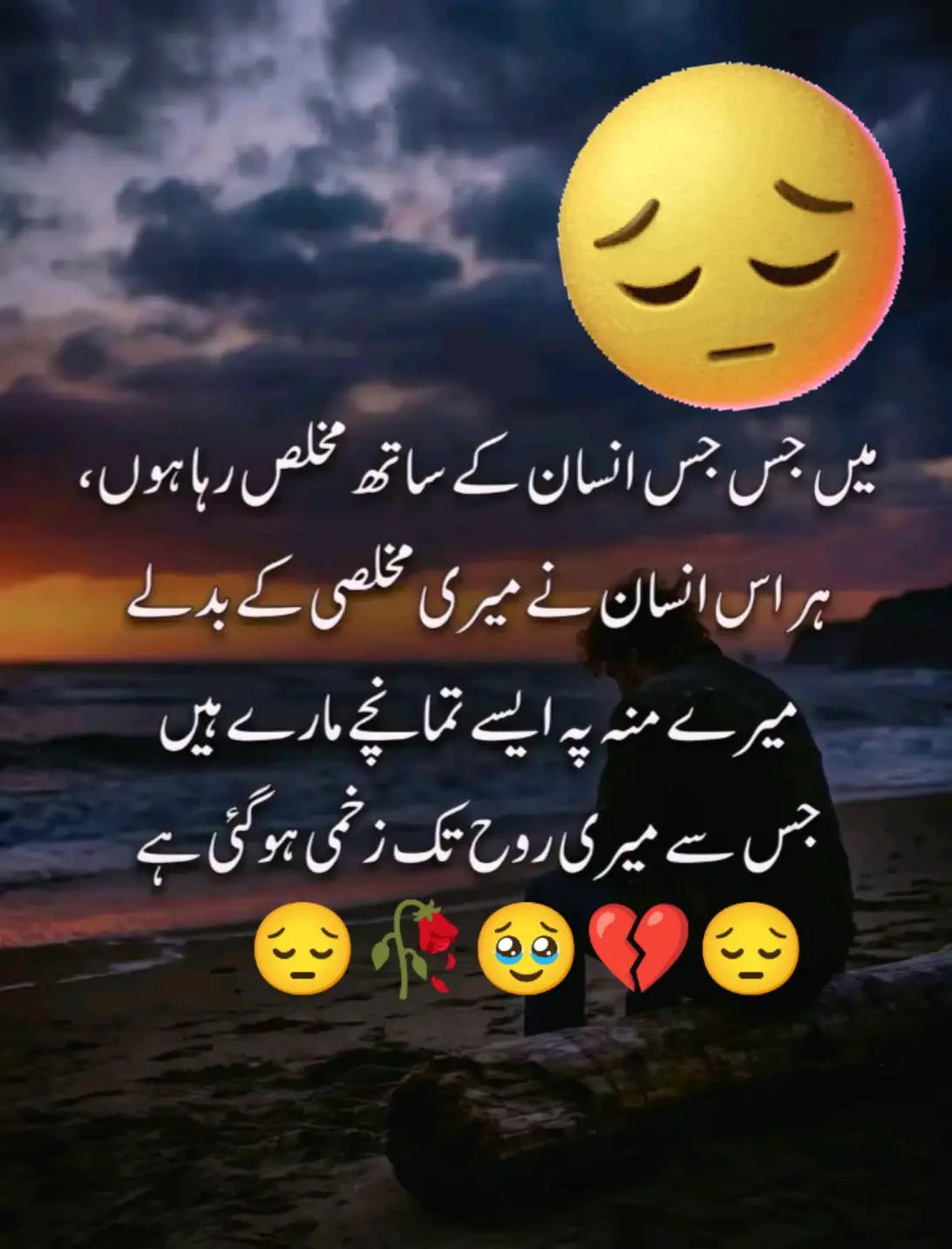 @Hassan Hussain💞