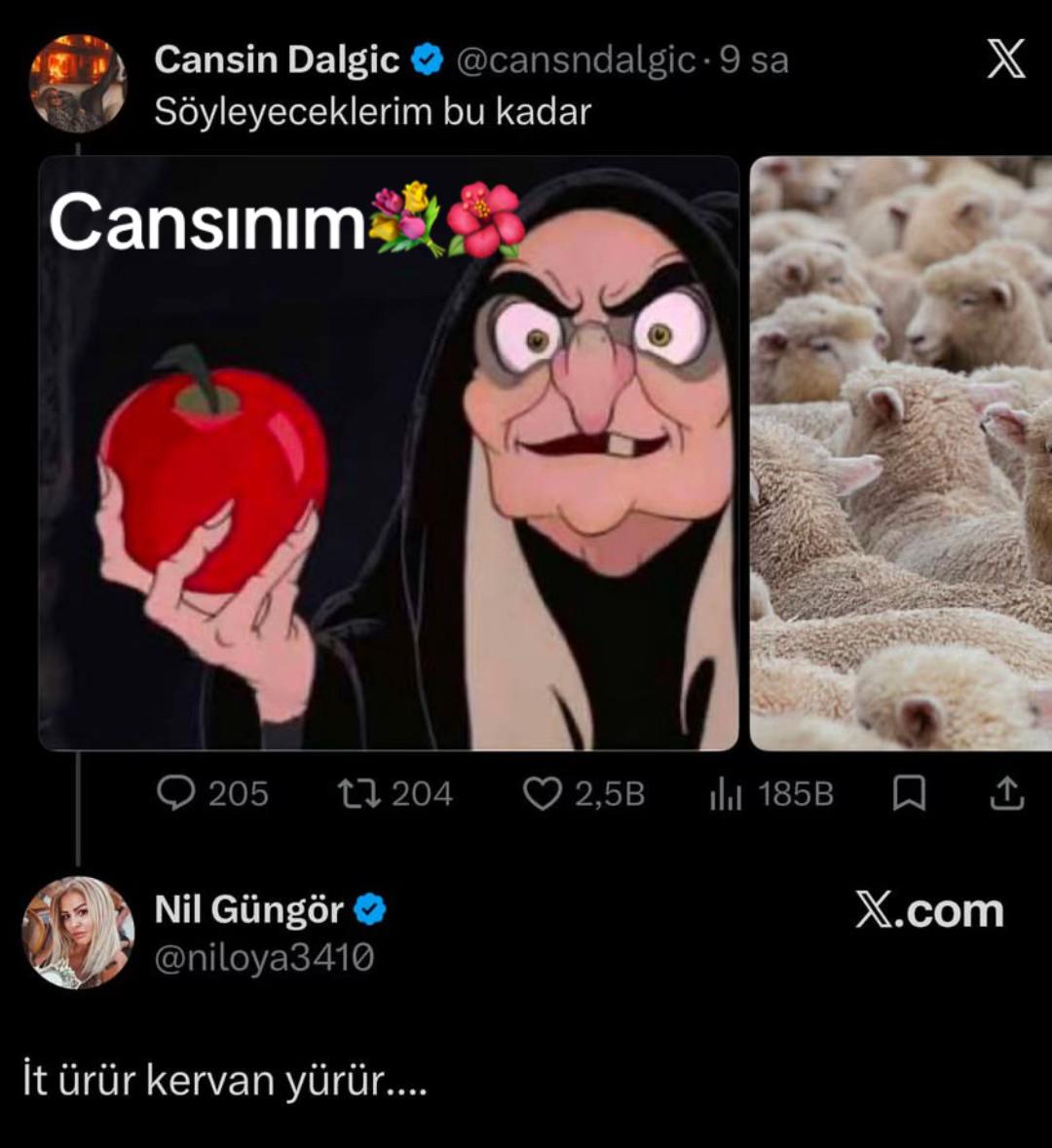 @Cansıncıyızz