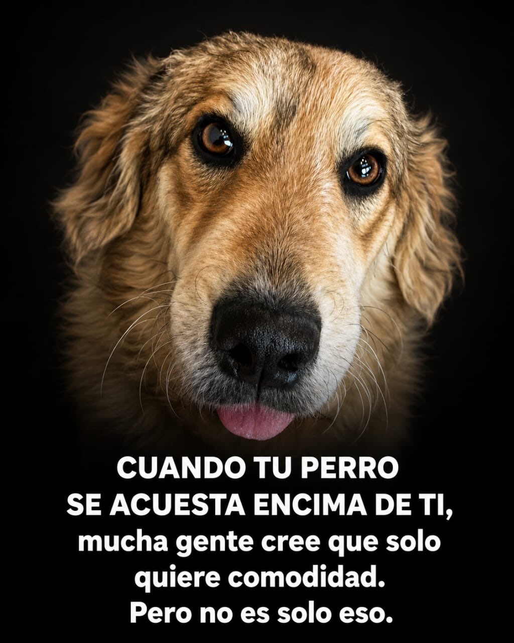 @Cris Urzua