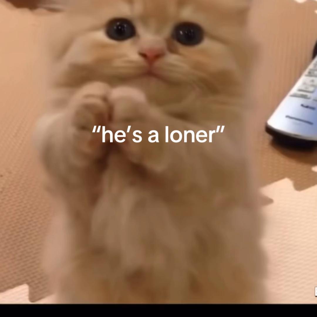 @hi