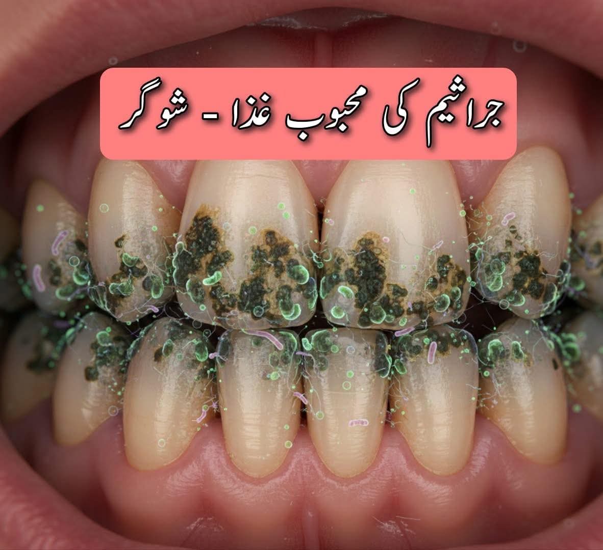 @Dr Omar Cosmetic Dentist