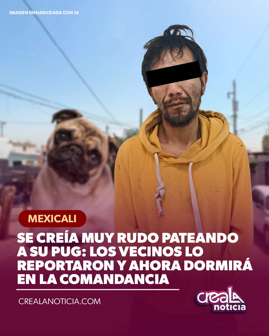 @Creala Noticia
