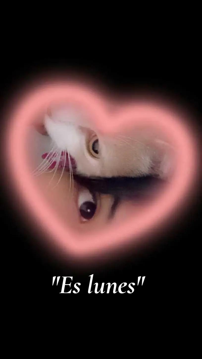 @♡ ♡