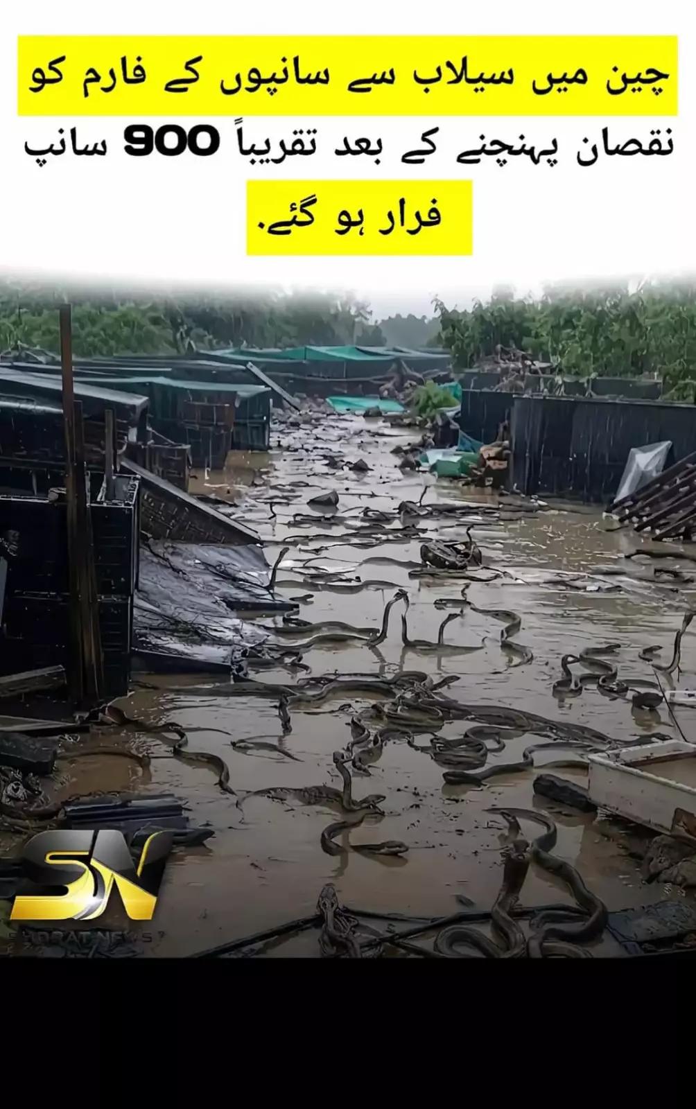 @غلام عباس 🗣️