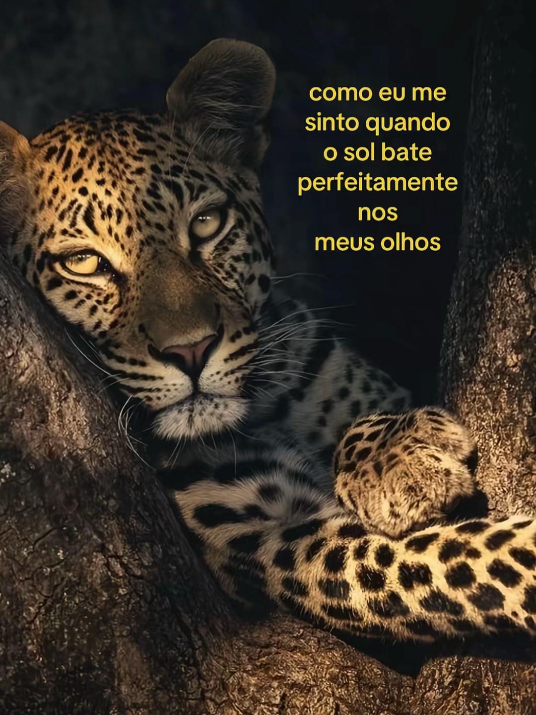 @giselle_nobre