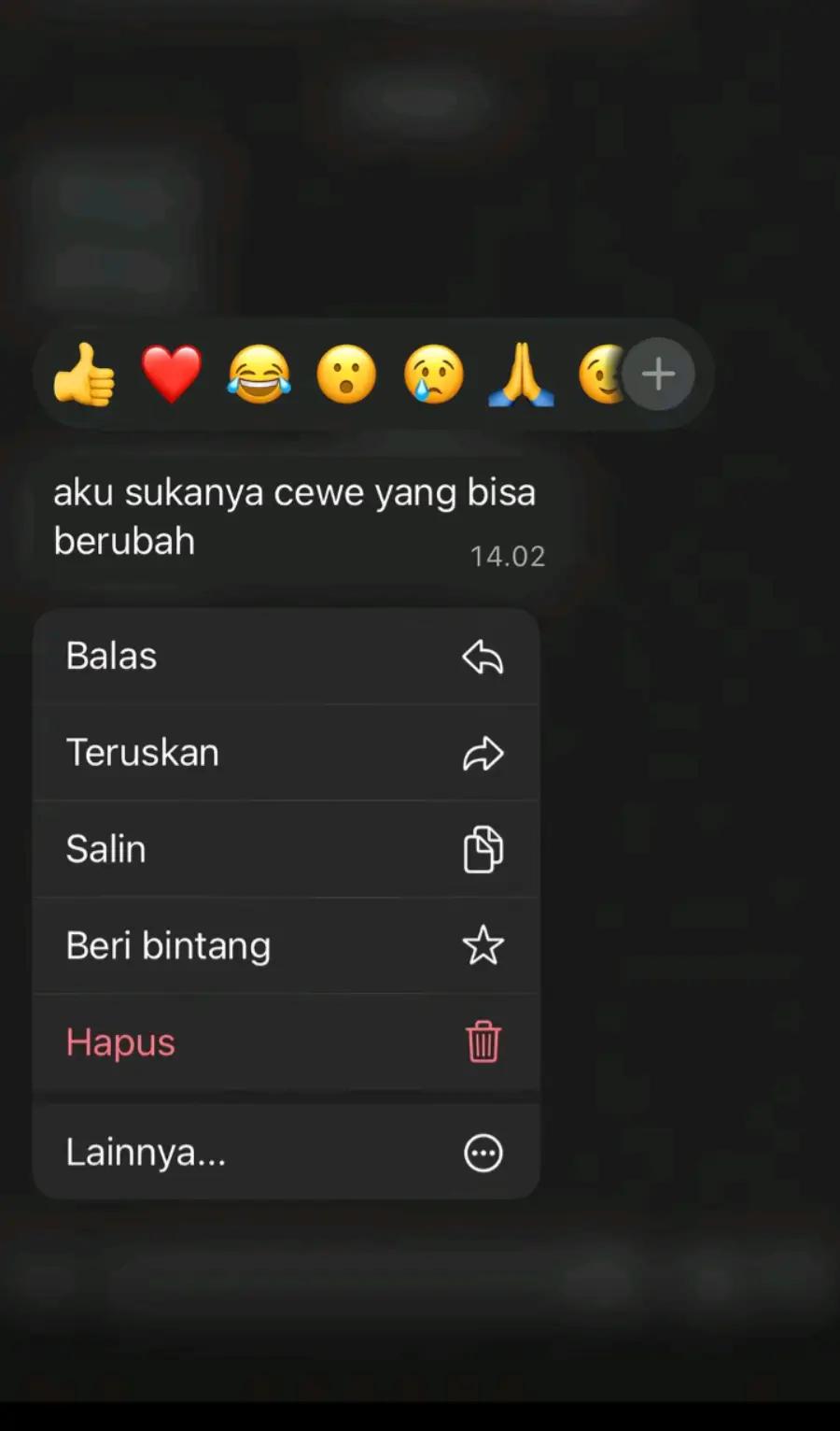 @•Indri🚀