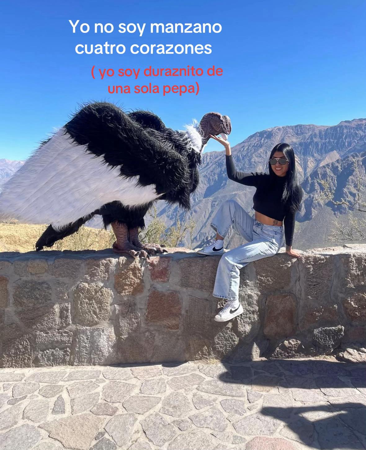 @Valentinavivian🦋