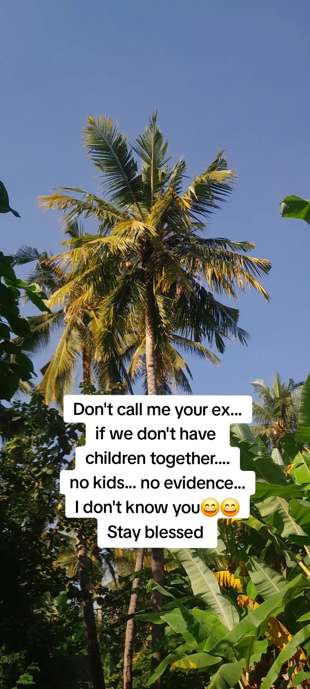 @shiee