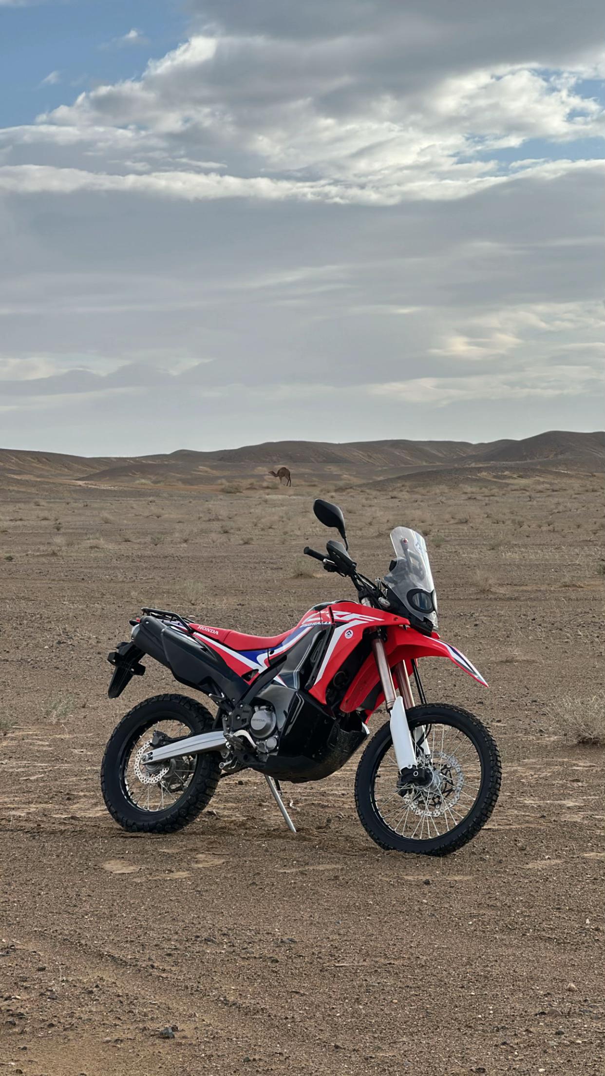 @بلوچستان عشق است 🐪🏜️🪶