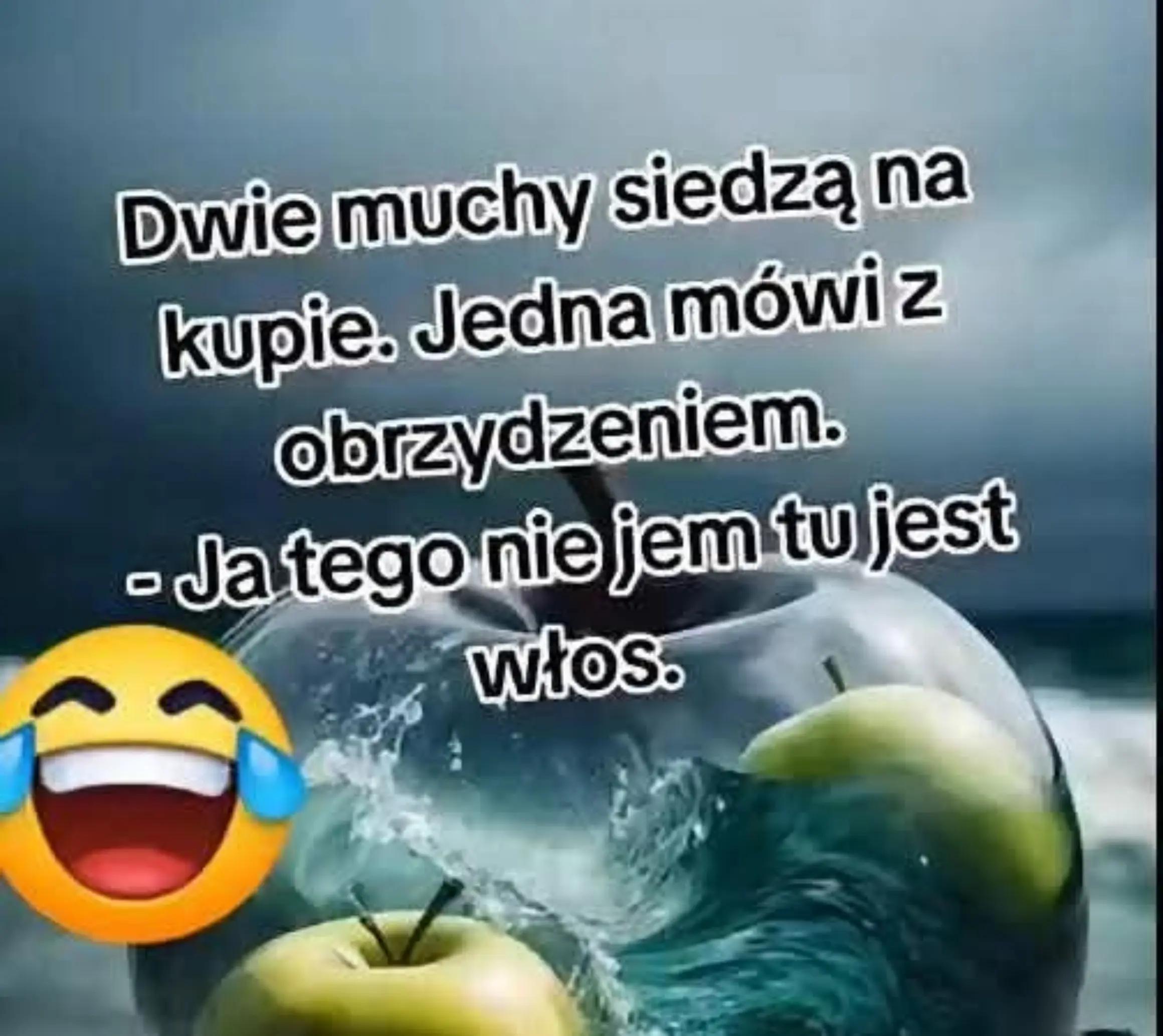 @Ur-szula2