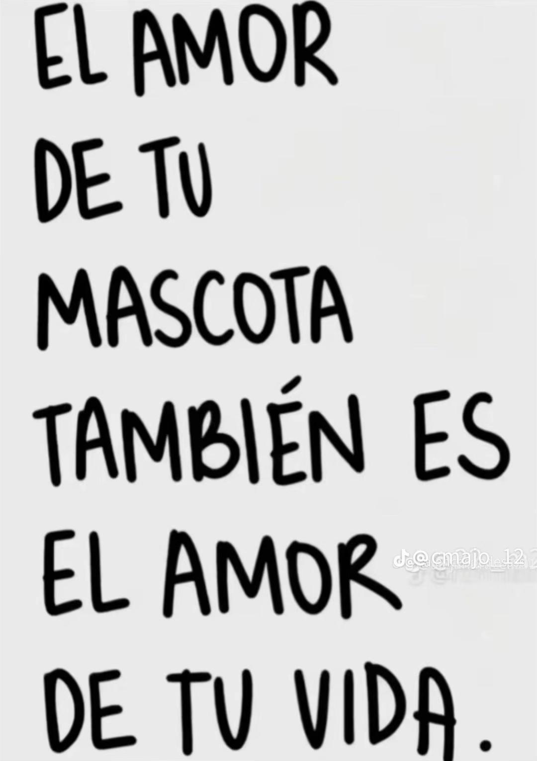 @Valen Araque🌙