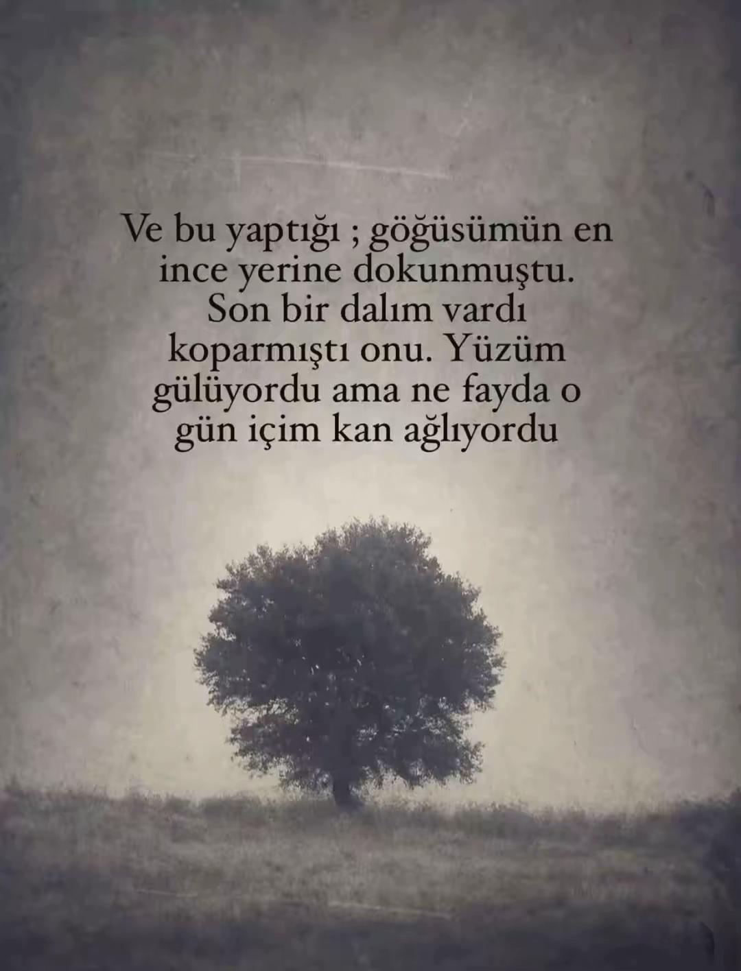 @sessiz.hislerr
