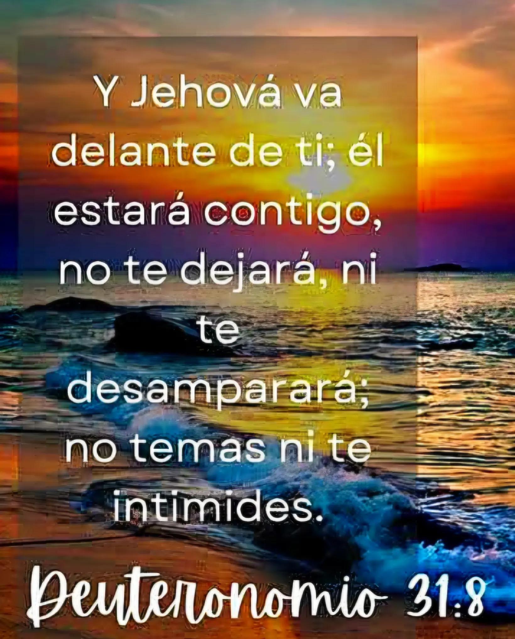 @hola, hola