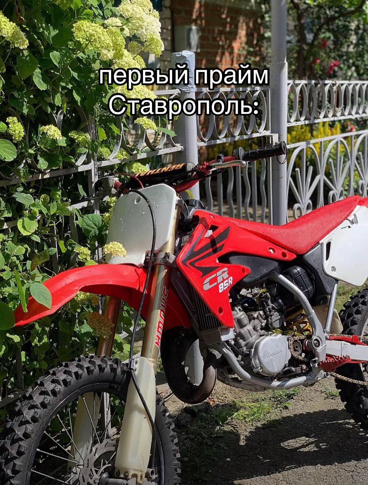 @ТГК:oneway.wlaydeer🎰