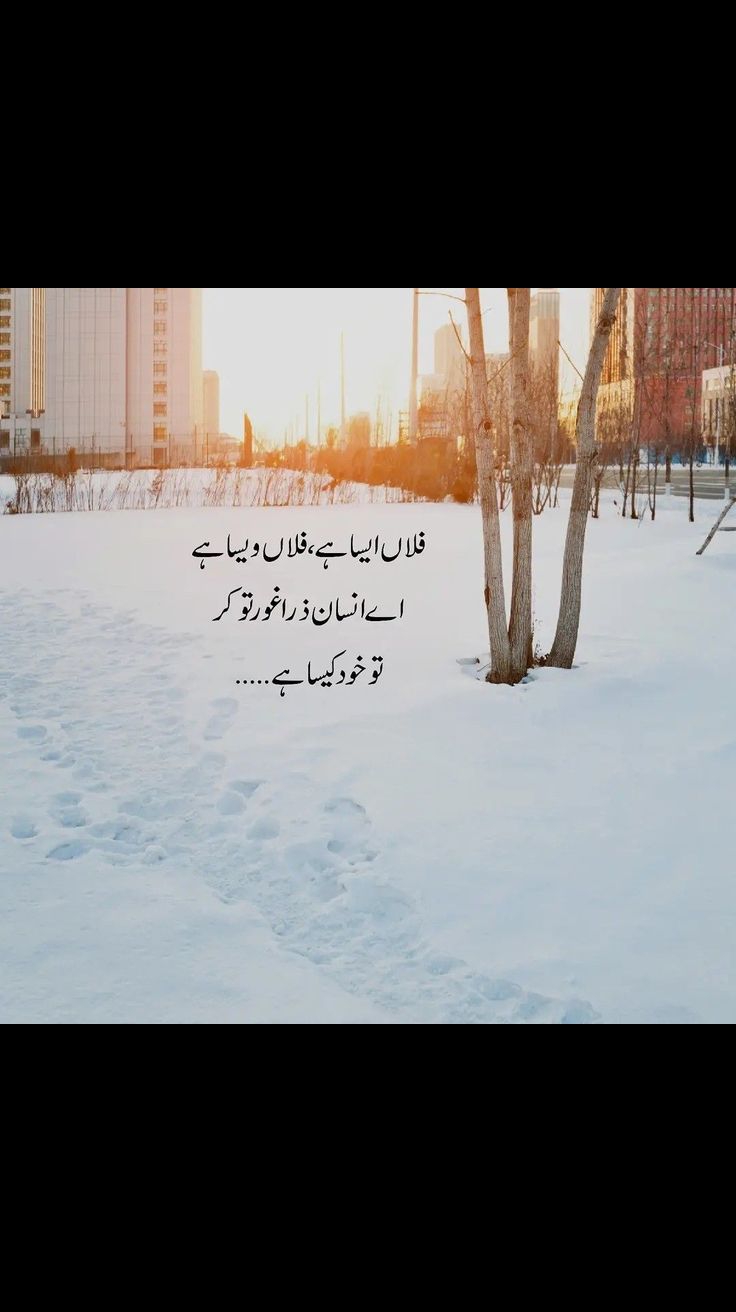 @🦅Fawad ali🦅